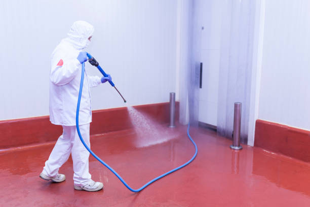 Best Pre-Holiday Cleaning  in Flying Hills, PA